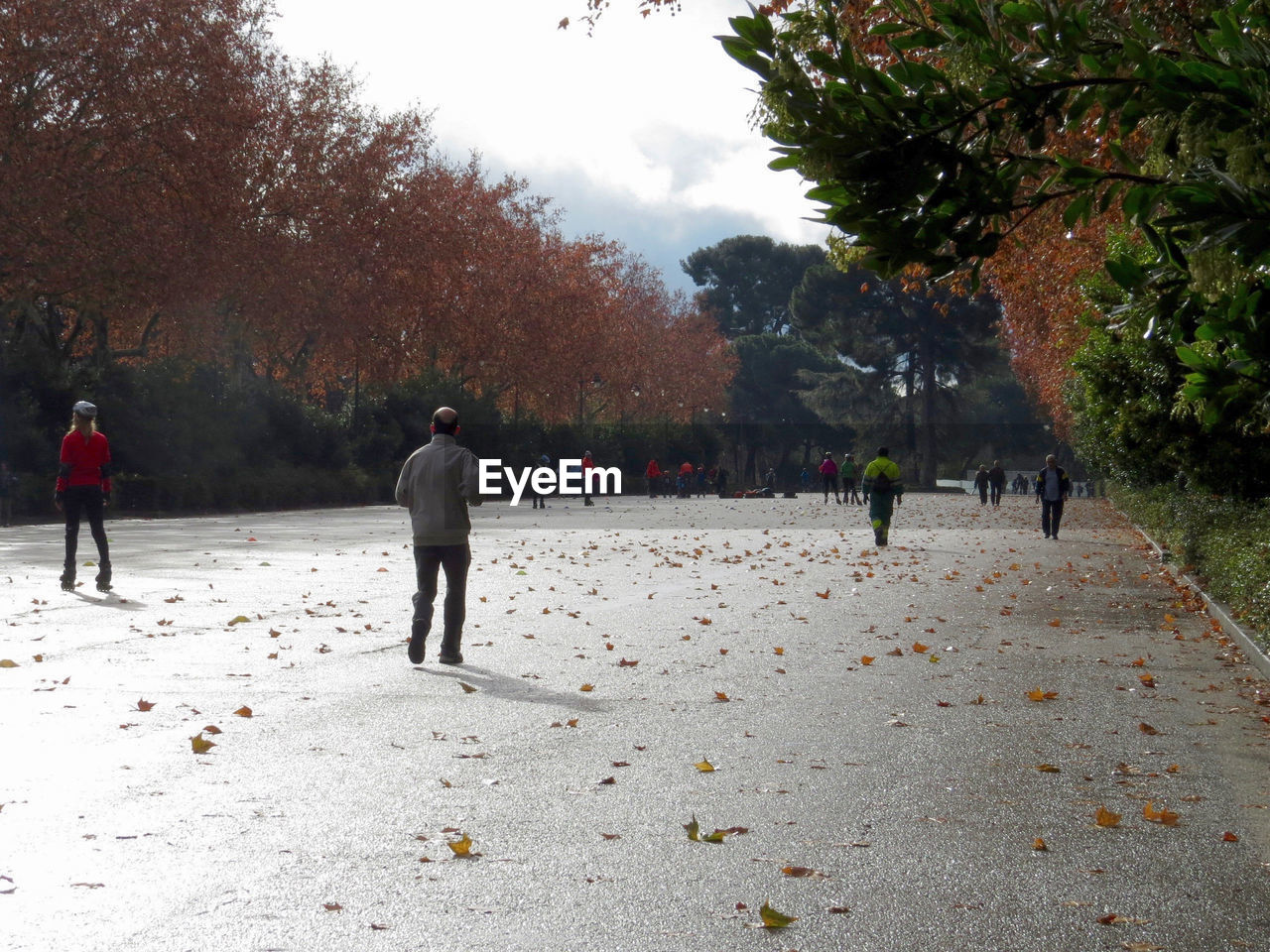 City Life Day Fallen Leaves Lifestyles Outdoor Activities Outdoors Real People Silver Lights Tree Urban Park Walking