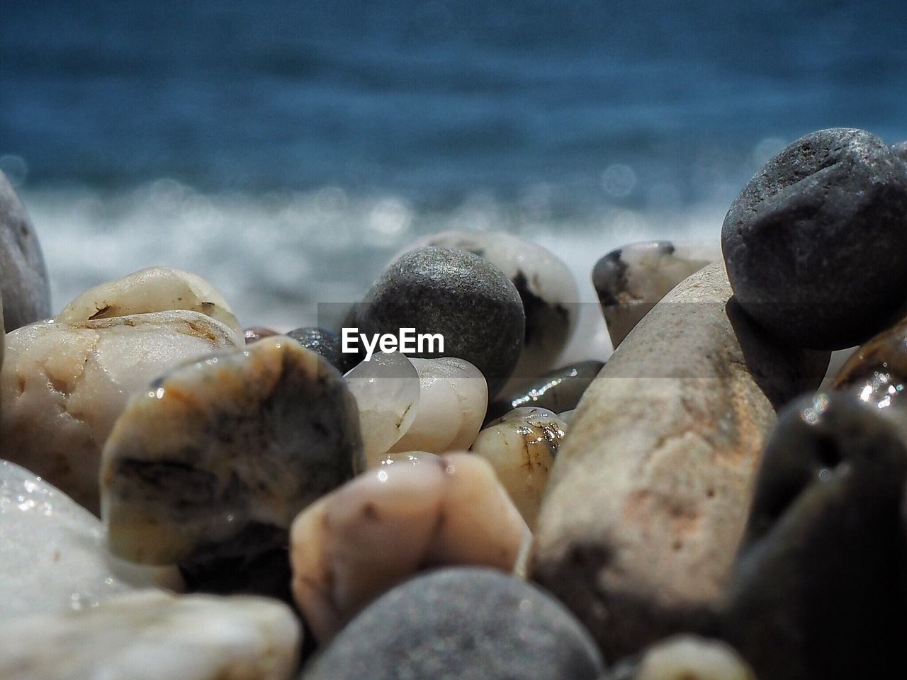 CLOSE-UP OF PEBBLES