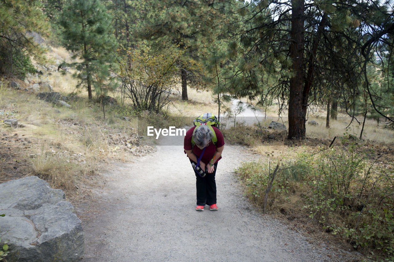 Woman hiking in forest