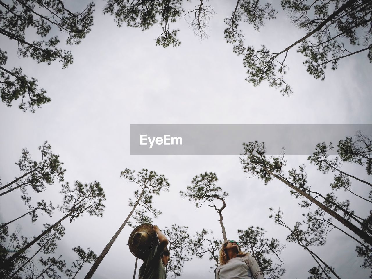 Low angle view of women amidst trees against sky