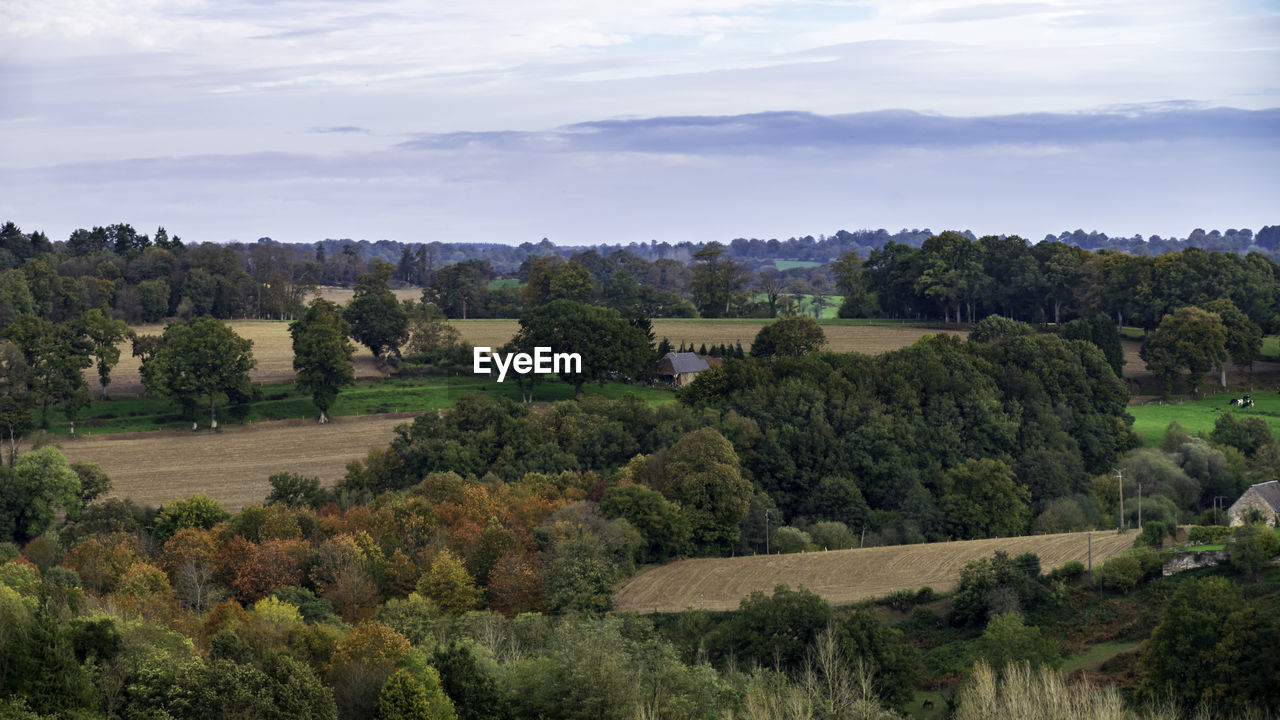 SCENIC VIEW OF TREES ON LANDSCAPE AGAINST SKY