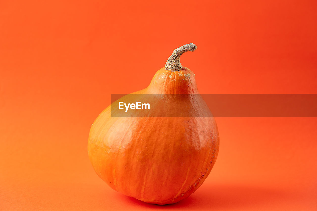 Close-up of pumpkin against orange background