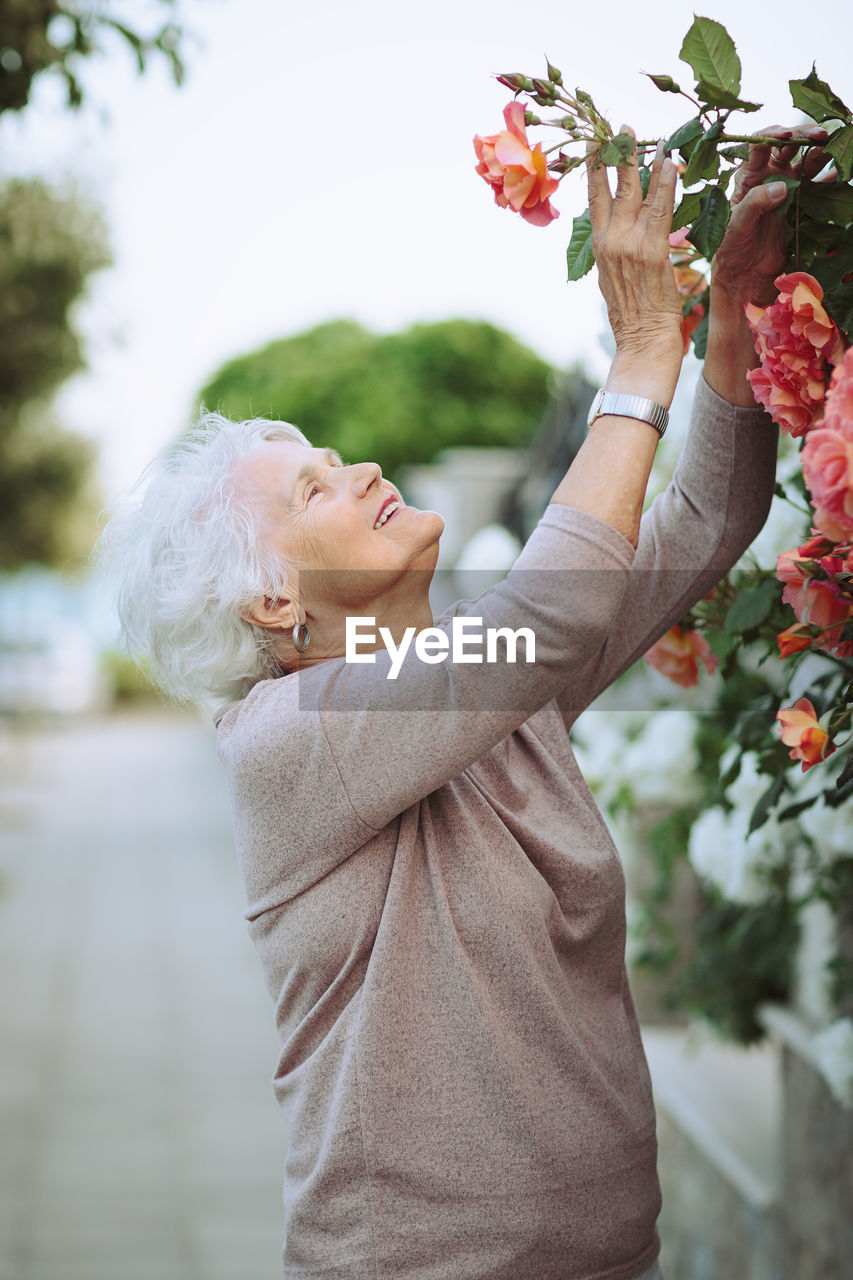 Elderly woman admiring beautiful bushes with colorful roses