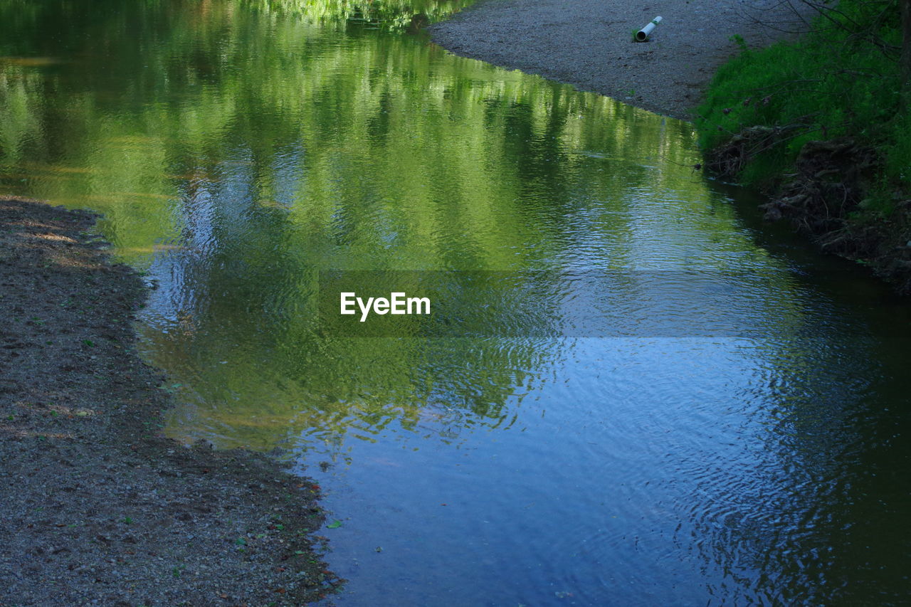 Reflection of trees in water