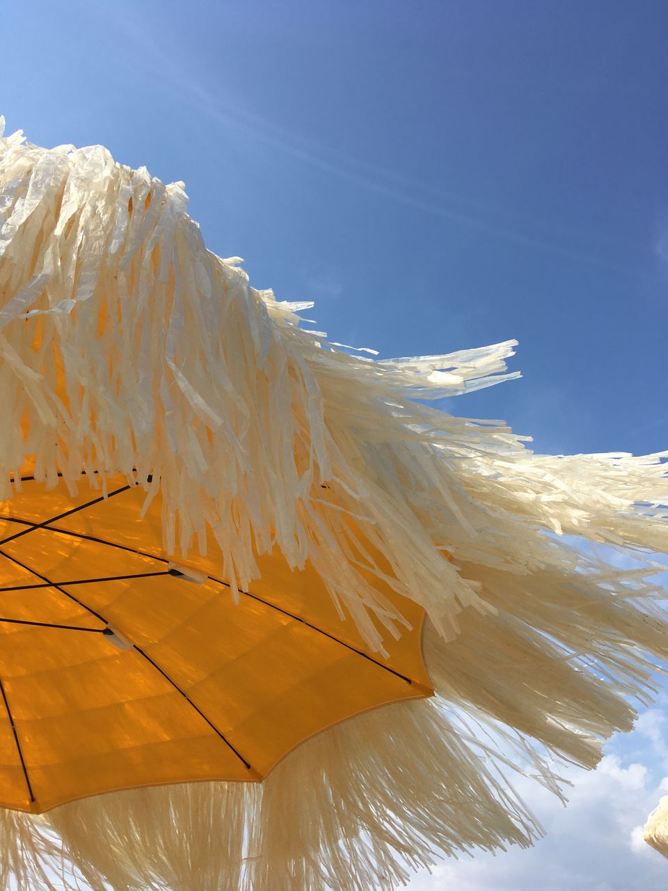 sky, sunlight, nature, yellow, wind, blue, low angle view, no people, cloud, reflection, environment, outdoors, wing, day, architecture, beauty in nature, sunny, leaf