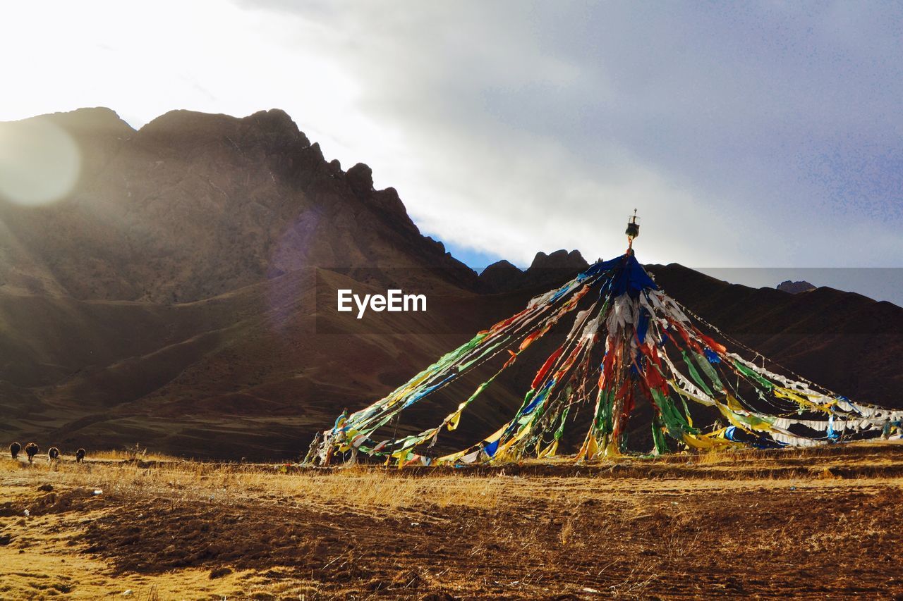 Prayer flags on field by mountains against sky