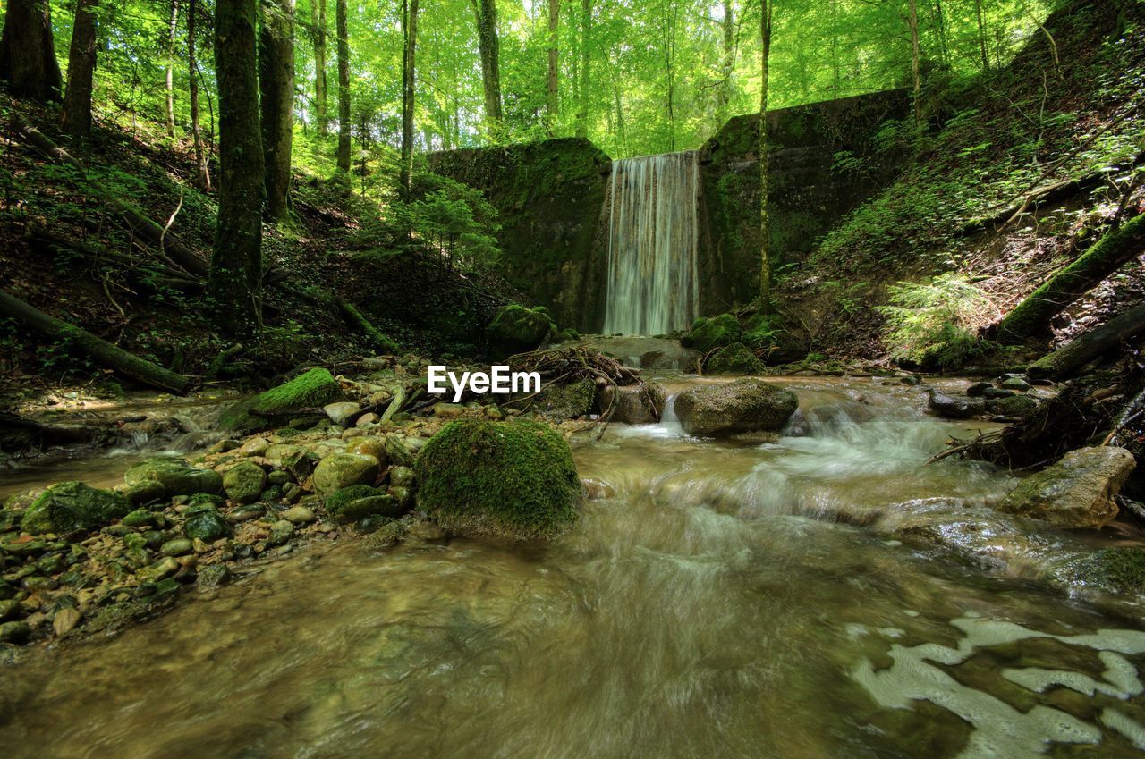 Waterfall in forest against trees