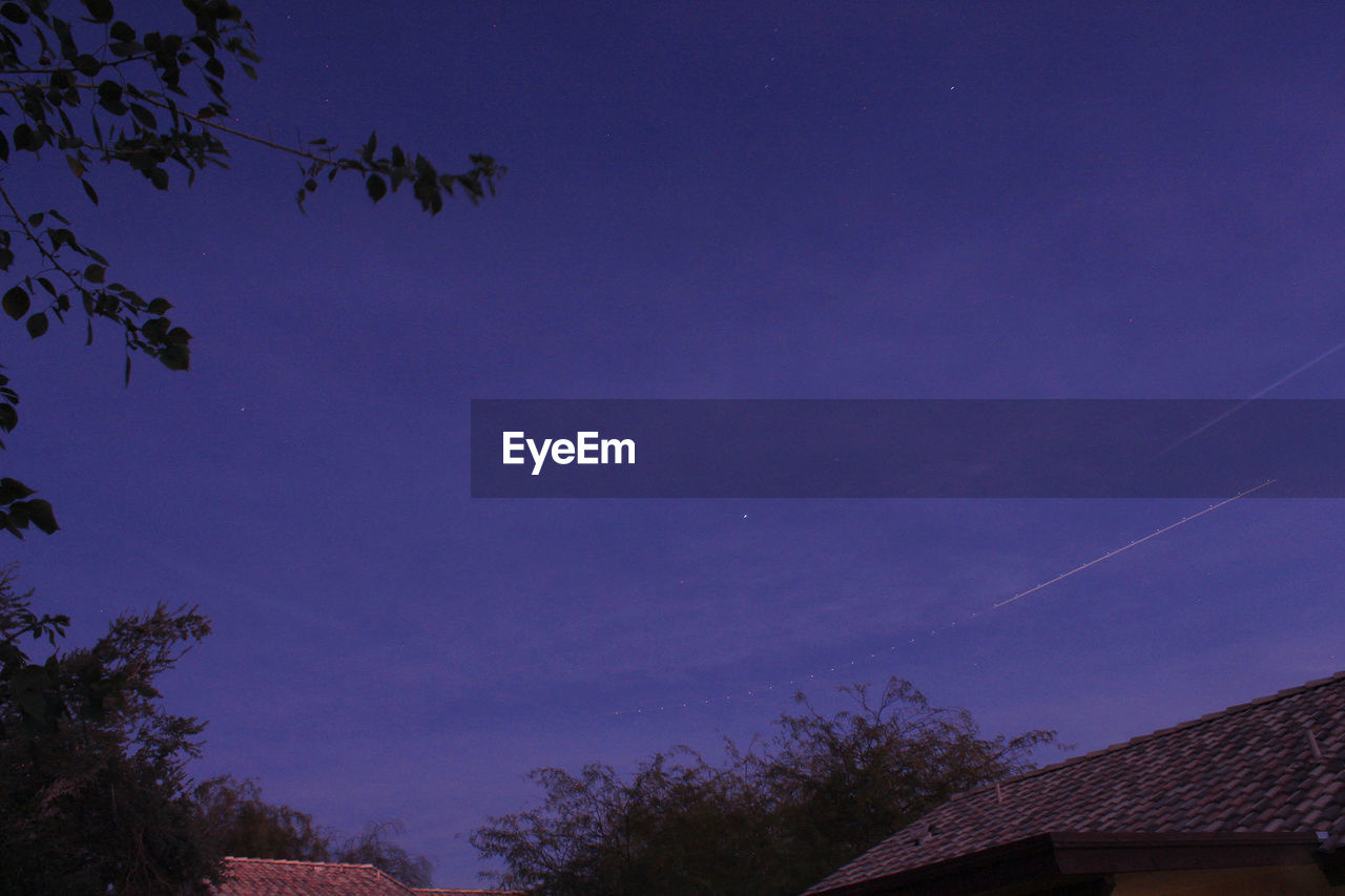 LOW ANGLE VIEW OF SILHOUETTE TREES AGAINST SKY