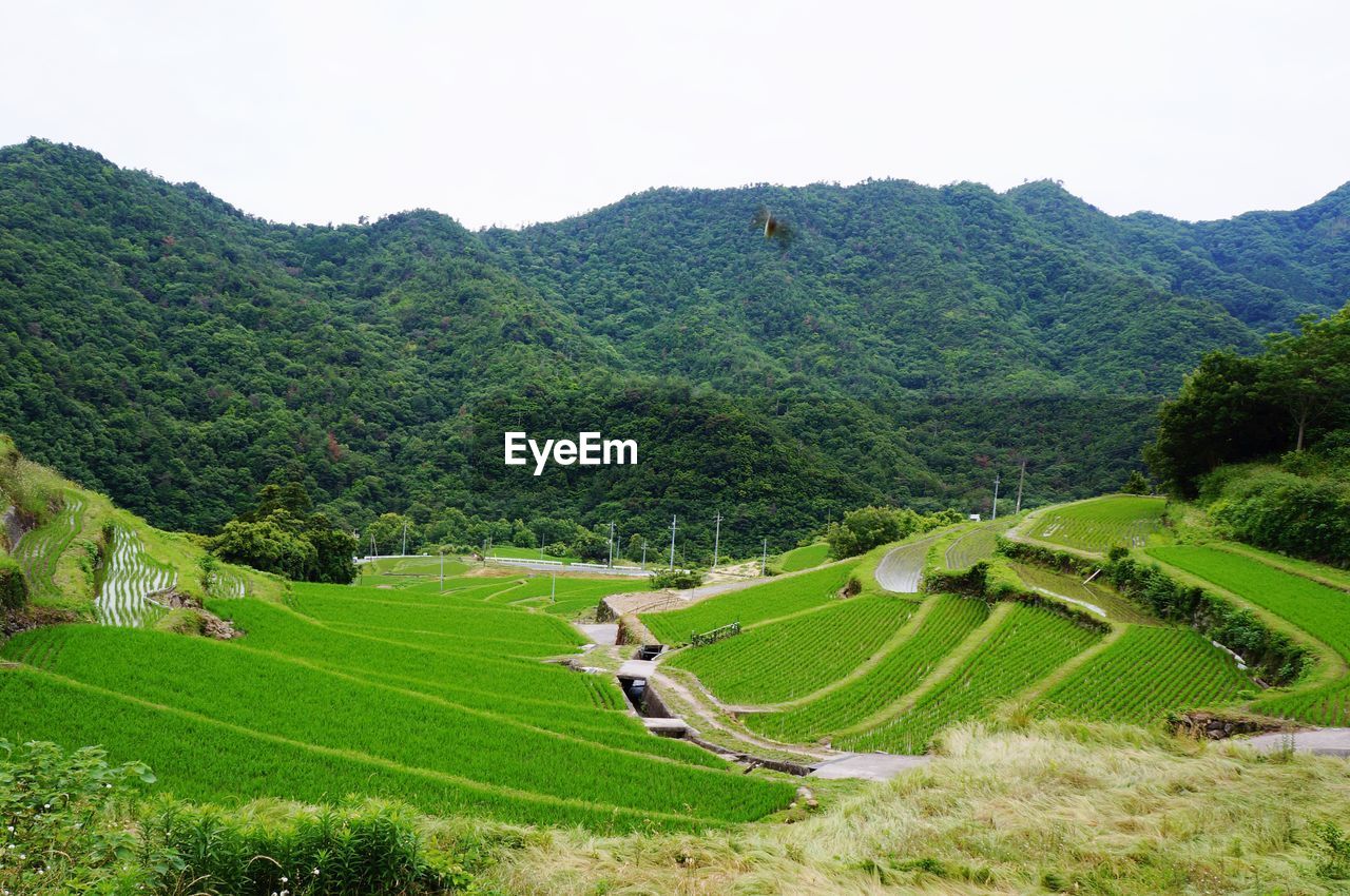 High angle view of agricultural field against sky