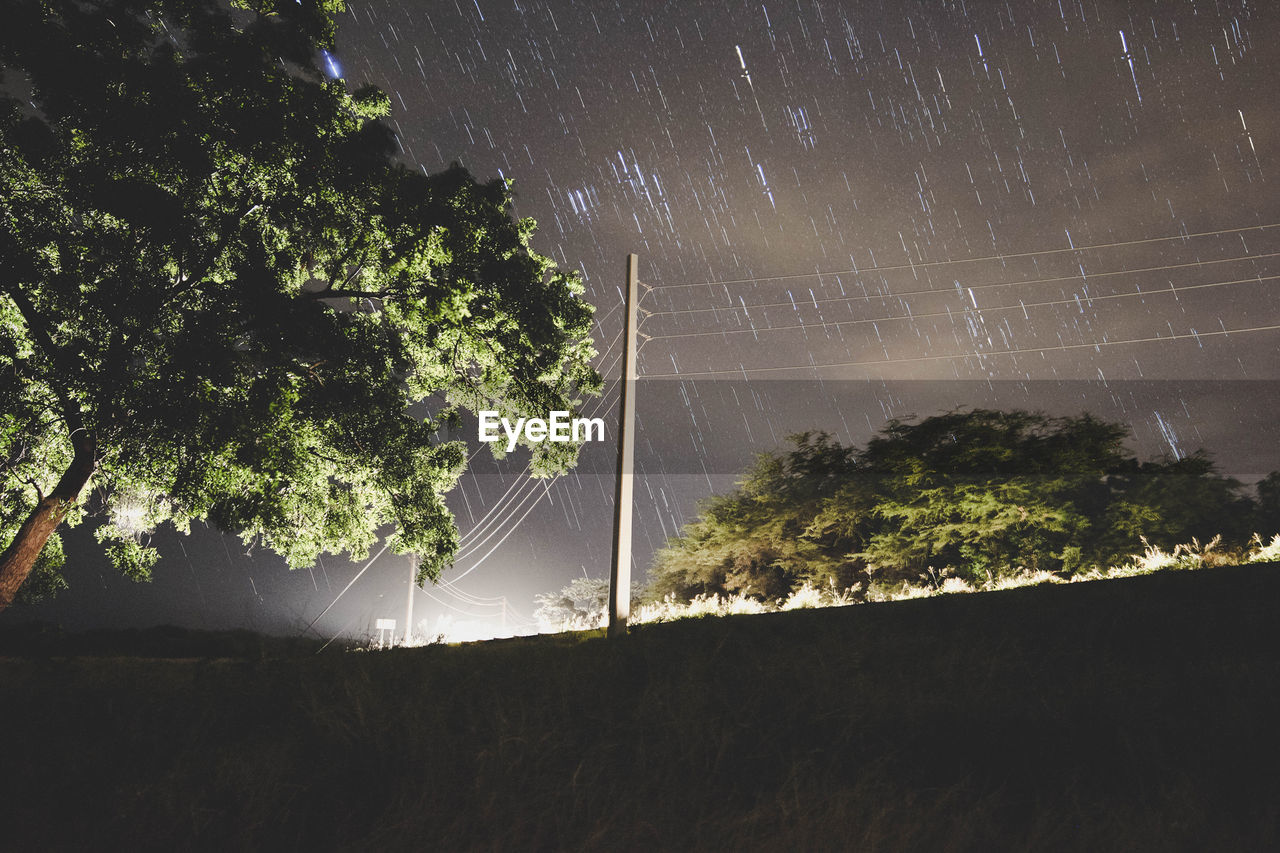 LOW ANGLE VIEW OF TREES AT NIGHT