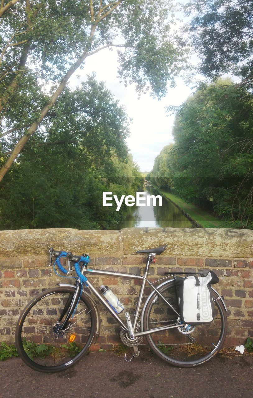 BICYCLE PARKED AGAINST TREES