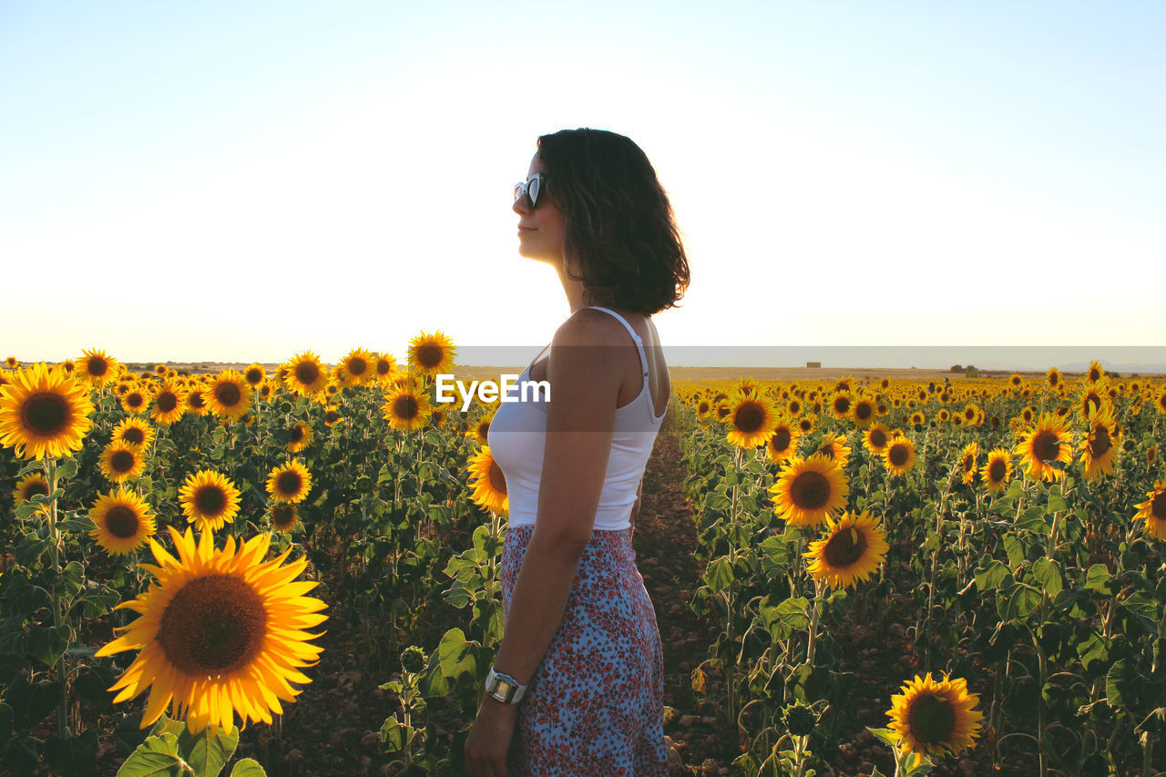 Woman standing on sunflower field