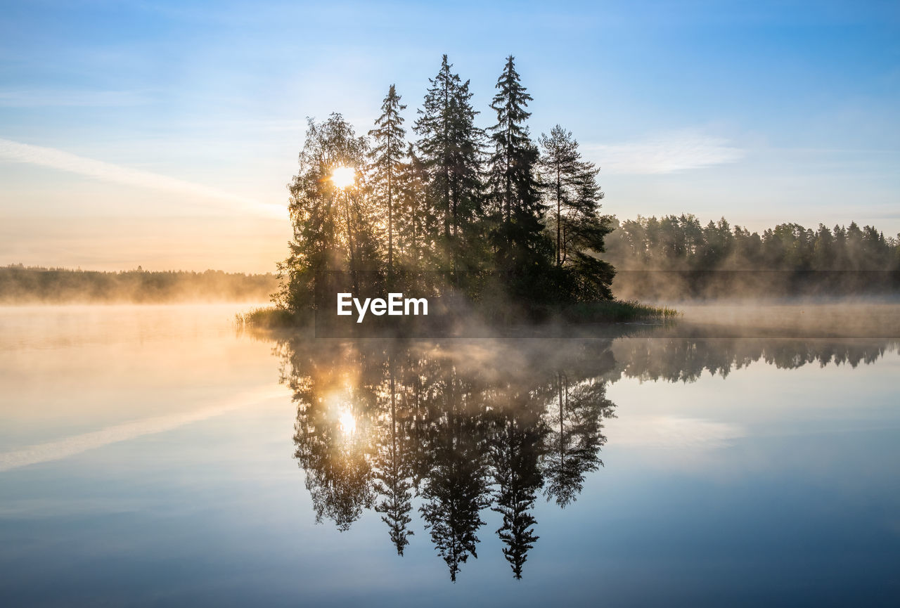 REFLECTION OF TREE IN LAKE AGAINST SKY