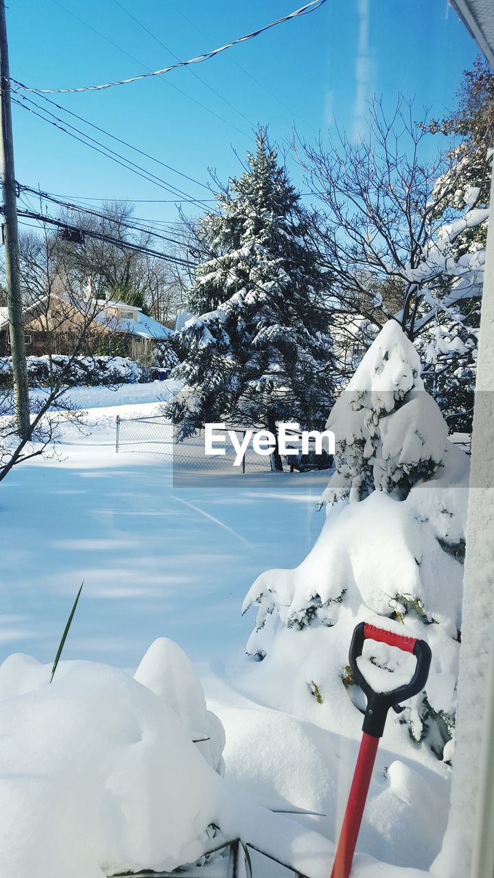 Snow covered trees on snow covered landscape