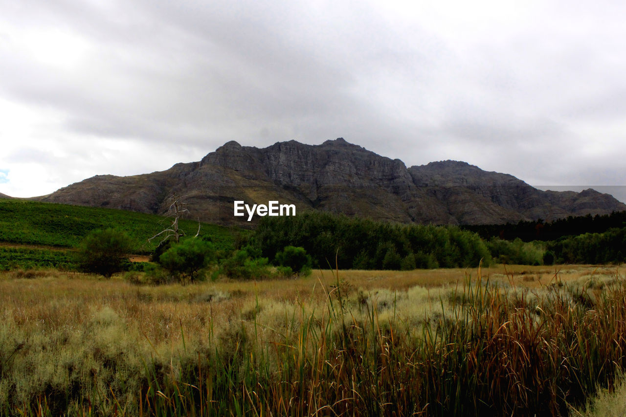 Scenic view of grassy field and mountains against cloudy sky