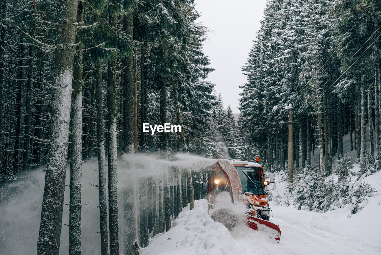Vehicle amidst trees during winter at forest