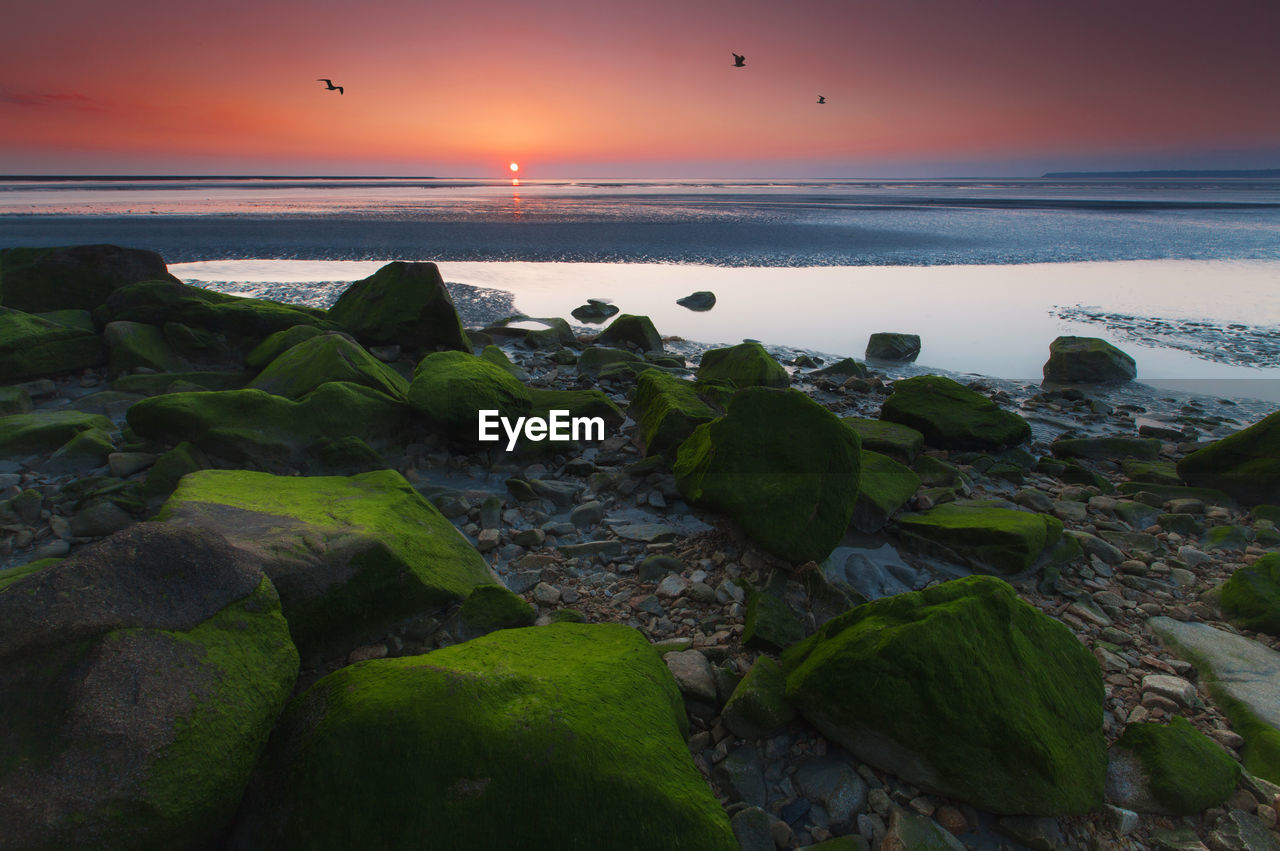 Scenic view of sea against sky at sunset