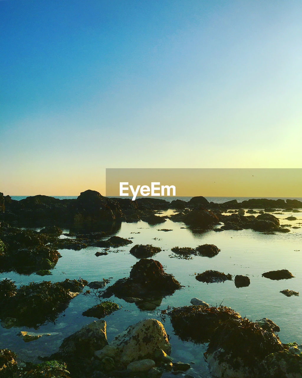 Evening over a rocky coastline