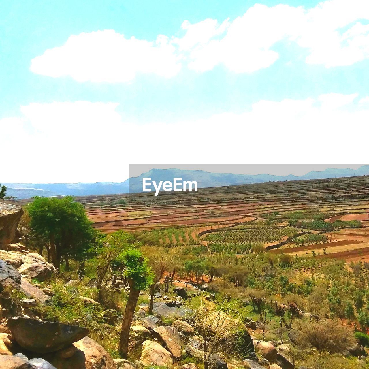 SCENIC VIEW OF AGRICULTURAL LANDSCAPE AGAINST SKY