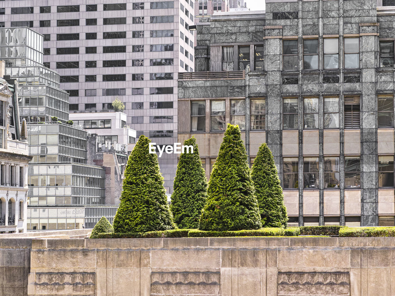 Trees and modern building in city