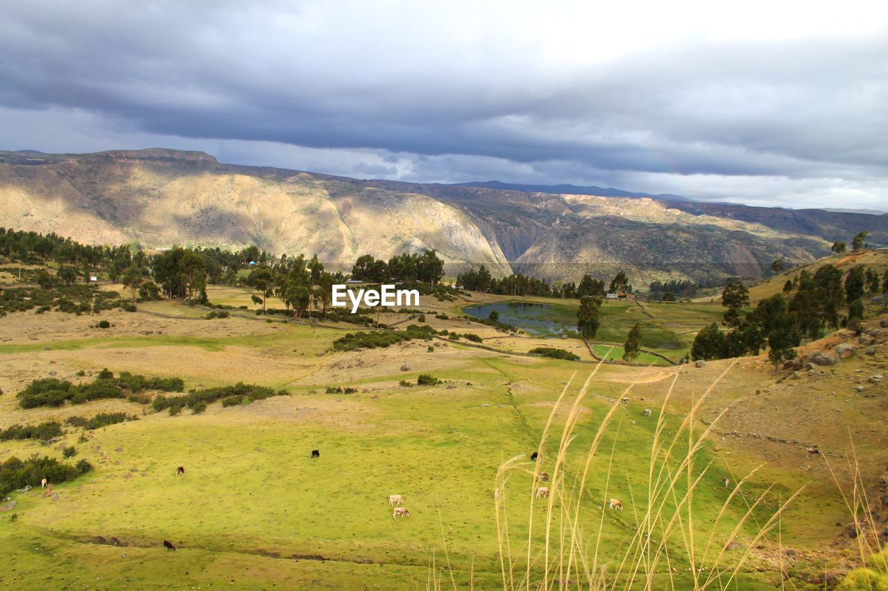 Scenic view of landscape against cloudy sky