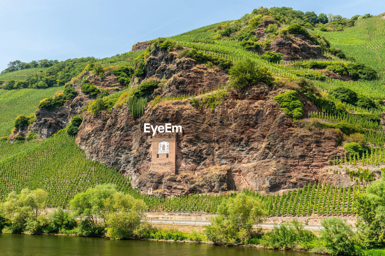 River moselle near zeltingen-rachtig and mountain with vineyards, slate rocks and sundial