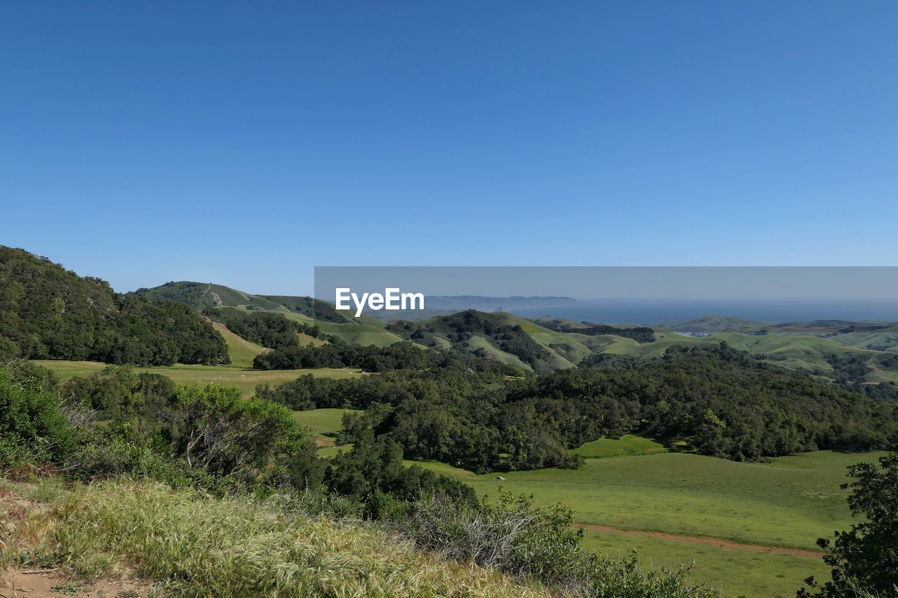 Scenic view of landscape against clear blue sky