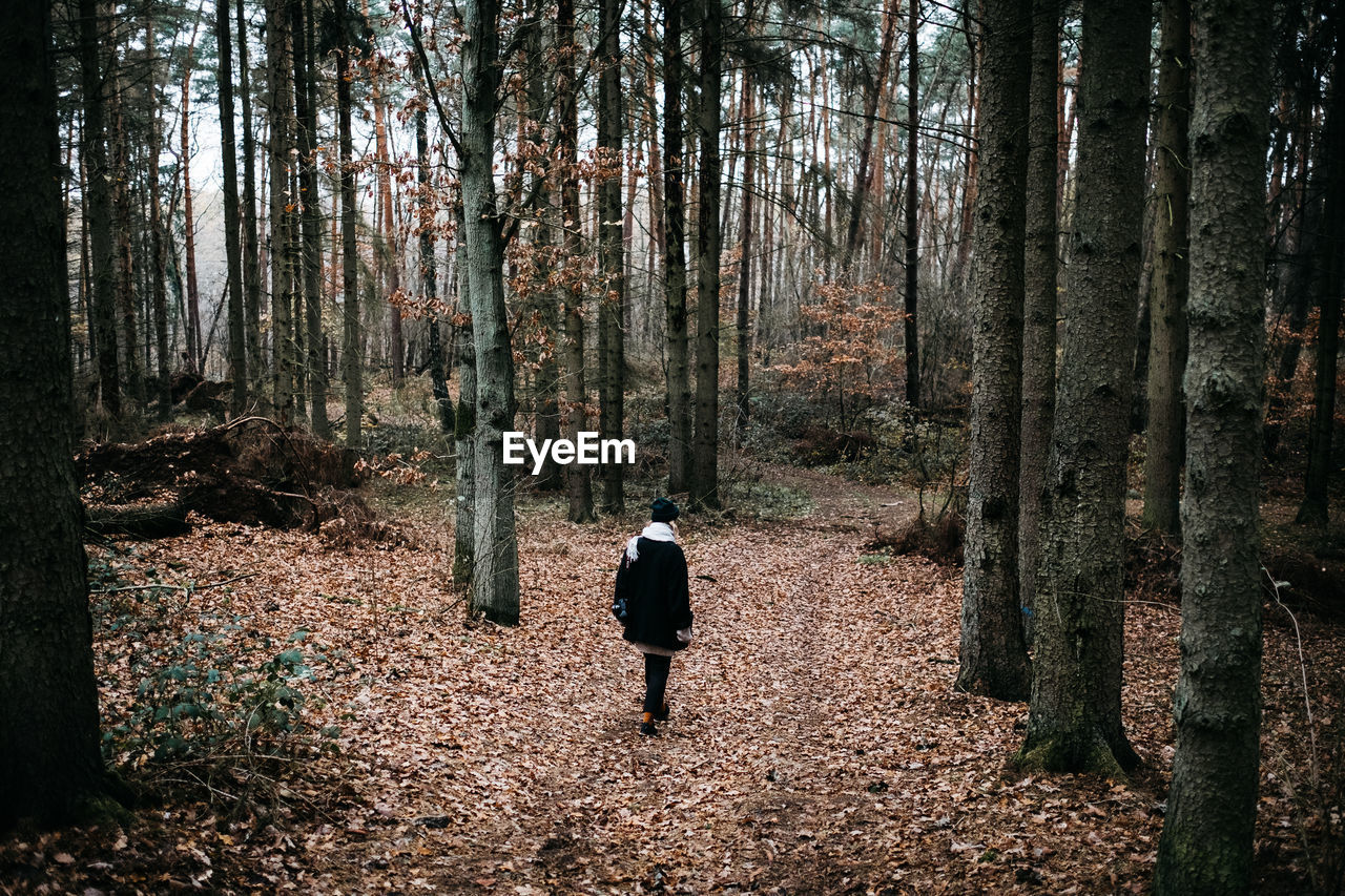 REAR VIEW OF MAN WALKING BY TREES