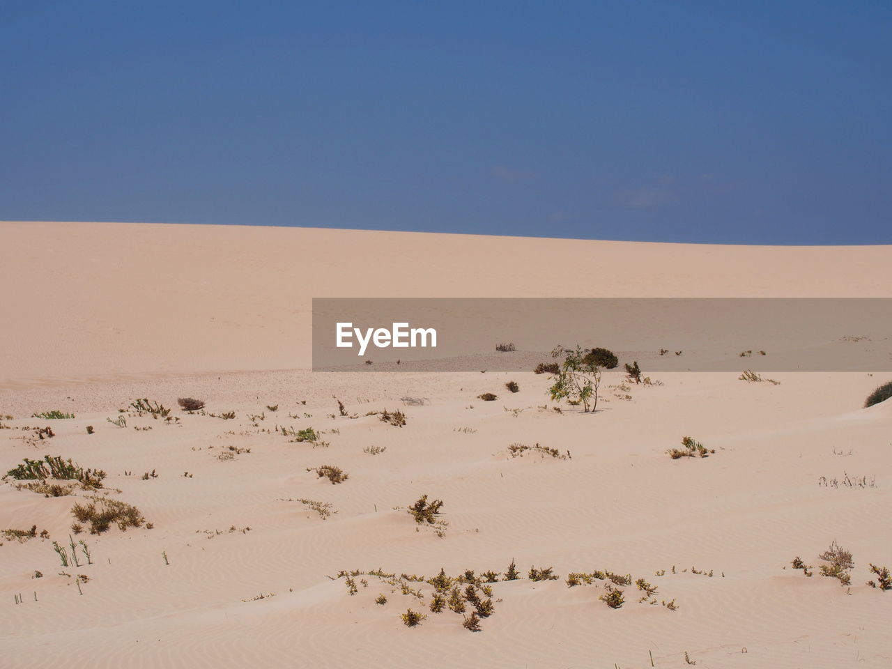 SCENIC VIEW OF DESERT AGAINST BLUE SKY