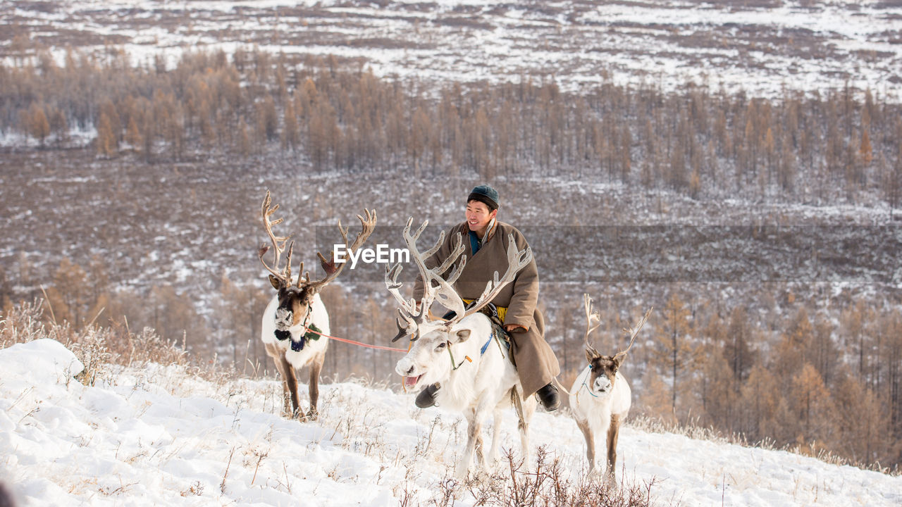 High angle view of man sitting on reindeer