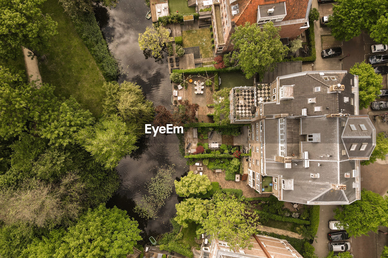 high angle view of trees and buildings in city