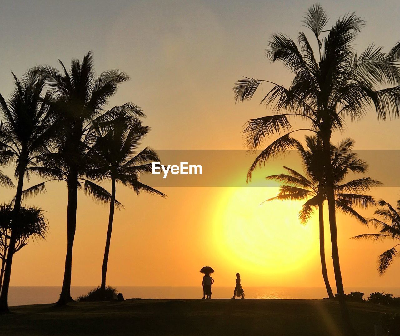 Silhouette friends standing by palm trees at beach during sunset