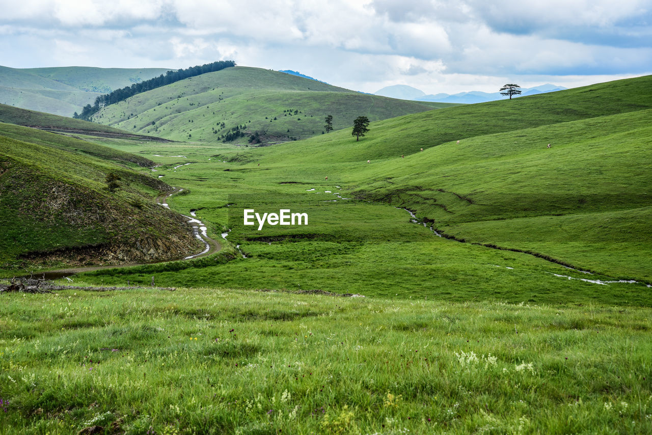 Scenic view of landscape against sky