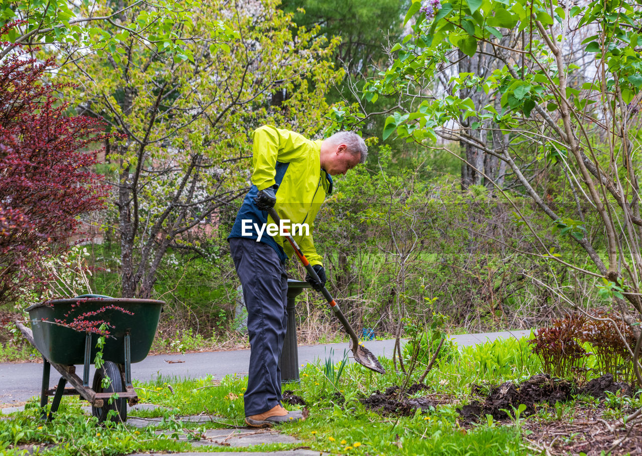 Side view of man working in forest