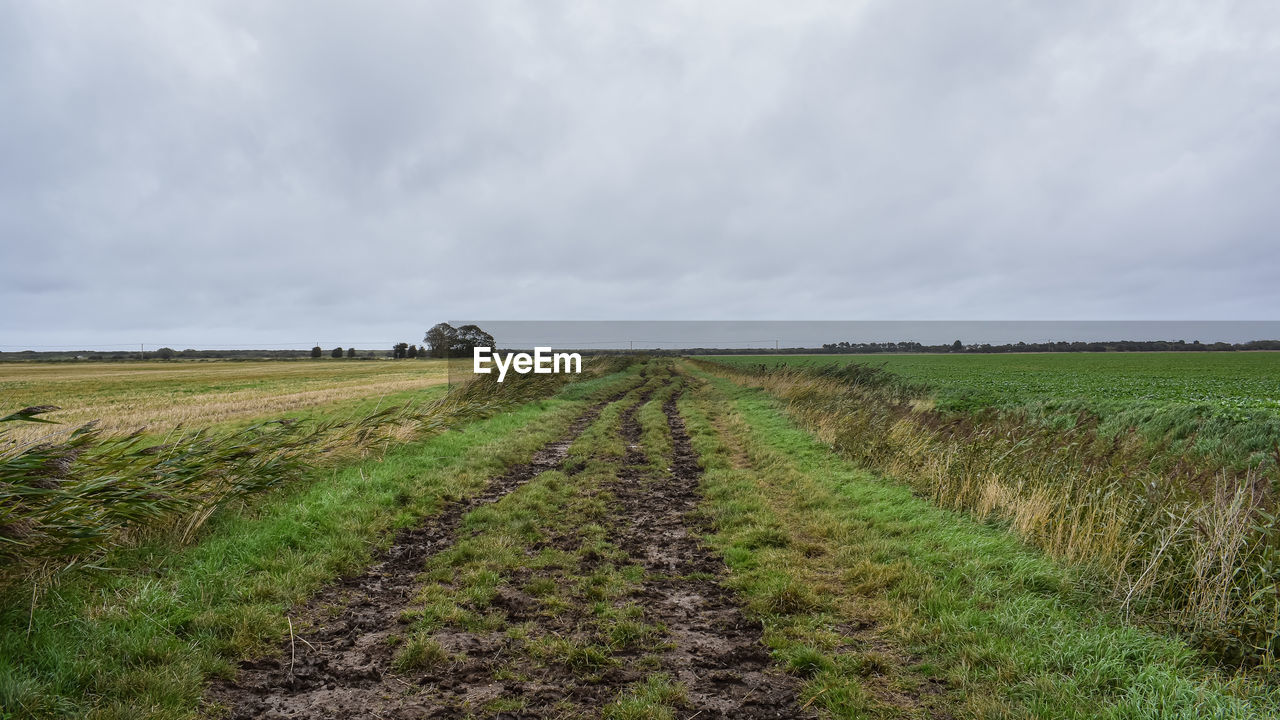 SCENIC VIEW OF FARM FIELD AGAINST SKY