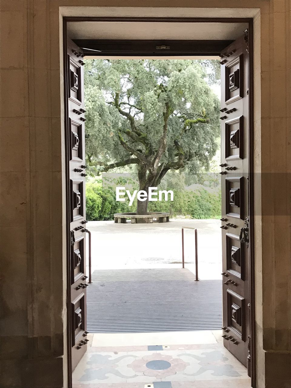 TREES AND BUILDING SEEN THROUGH OPEN DOOR