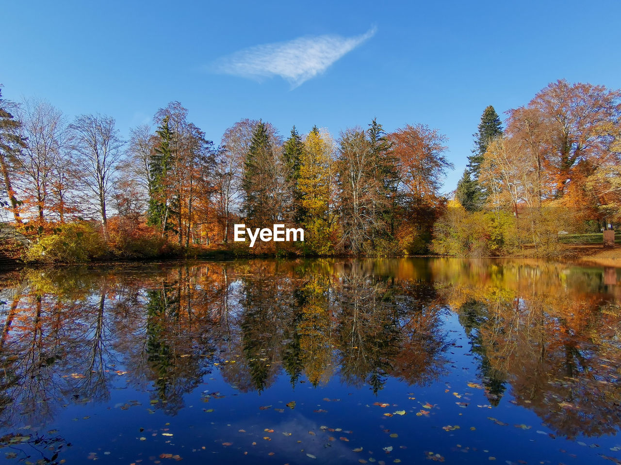 TREES BY LAKE AGAINST SKY DURING AUTUMN