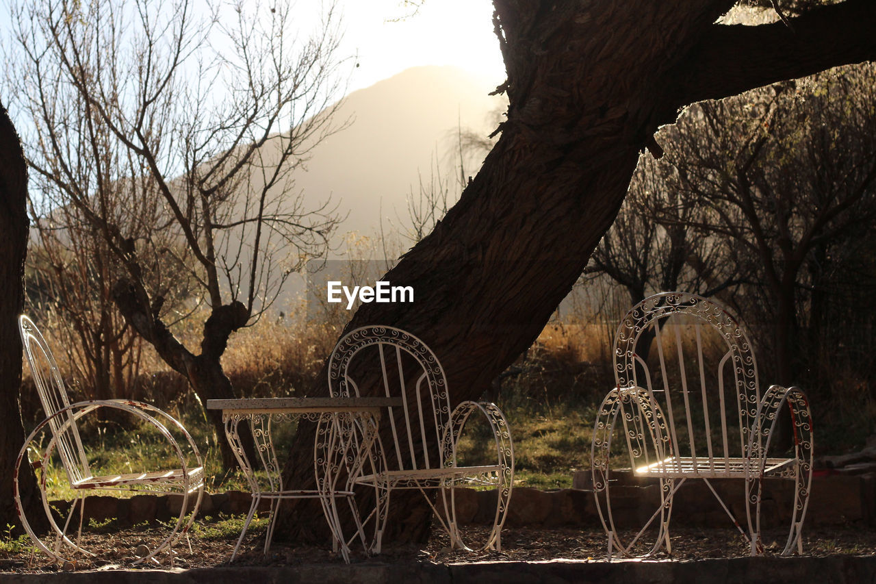 View of chair and table against bare tree and mountain