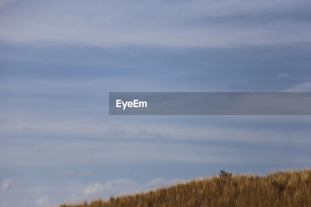 sky, cloud, beauty in nature, plant, tranquility, tranquil scene, horizon, scenics - nature, nature, no people, land, field, landscape, environment, non-urban scene, prairie, morning, growth, hill, natural environment, grass, day, plain, idyllic, grassland, outdoors, tree, remote