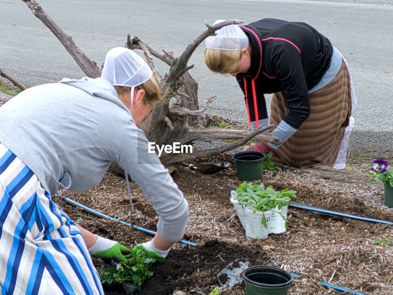 REAR VIEW OF PEOPLE WORKING ON PLANT