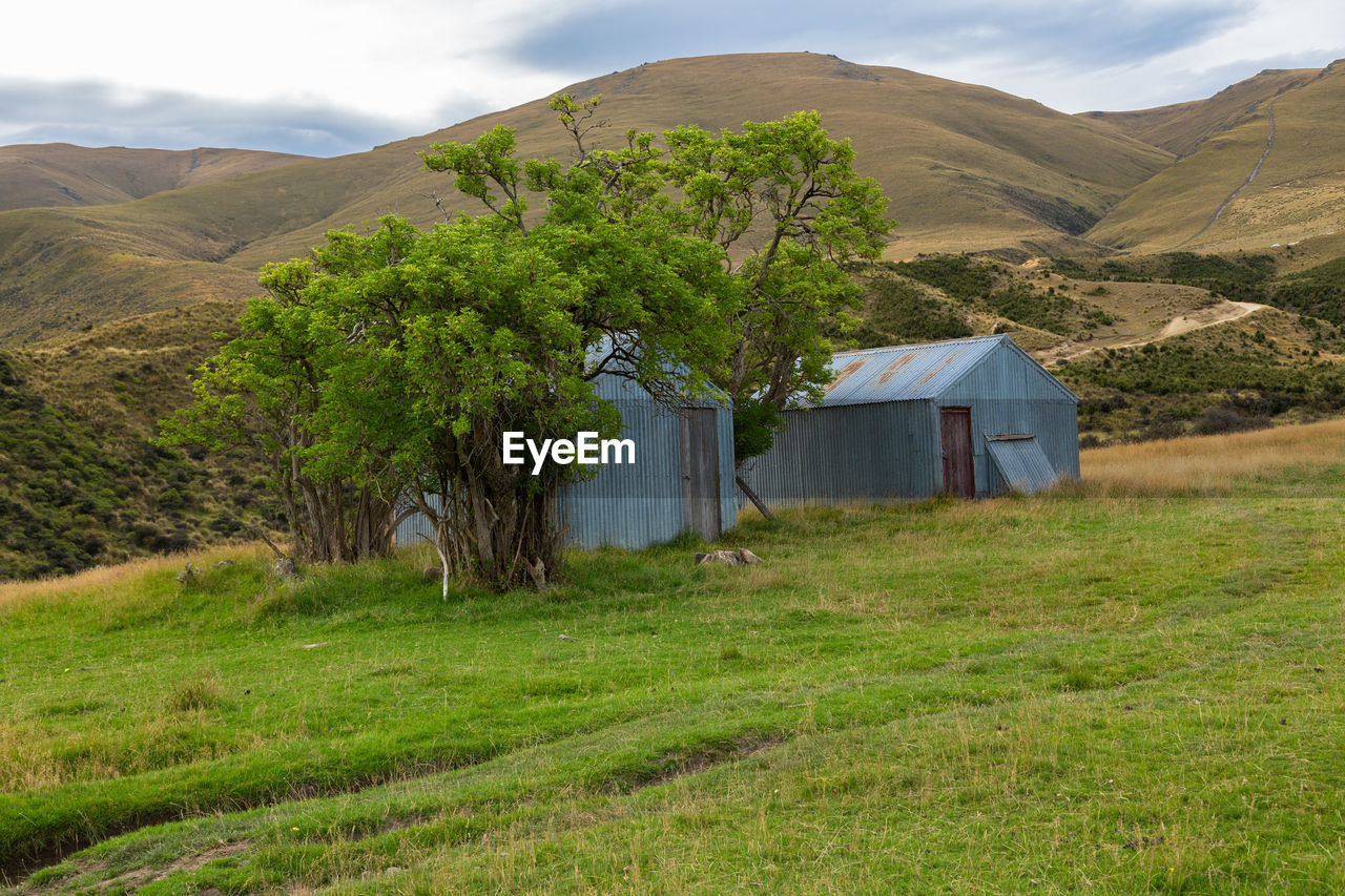 Shack in a field