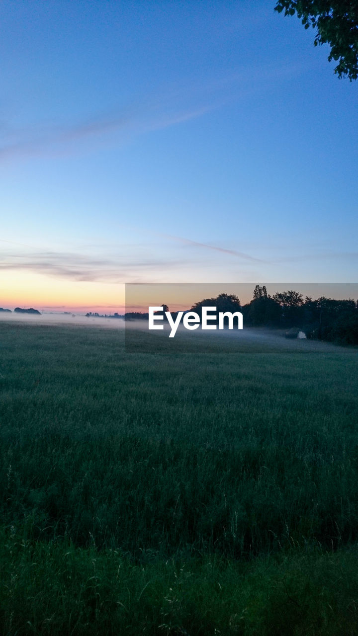 SCENIC VIEW OF GRASSY FIELD AGAINST CLEAR SKY DURING SUNSET