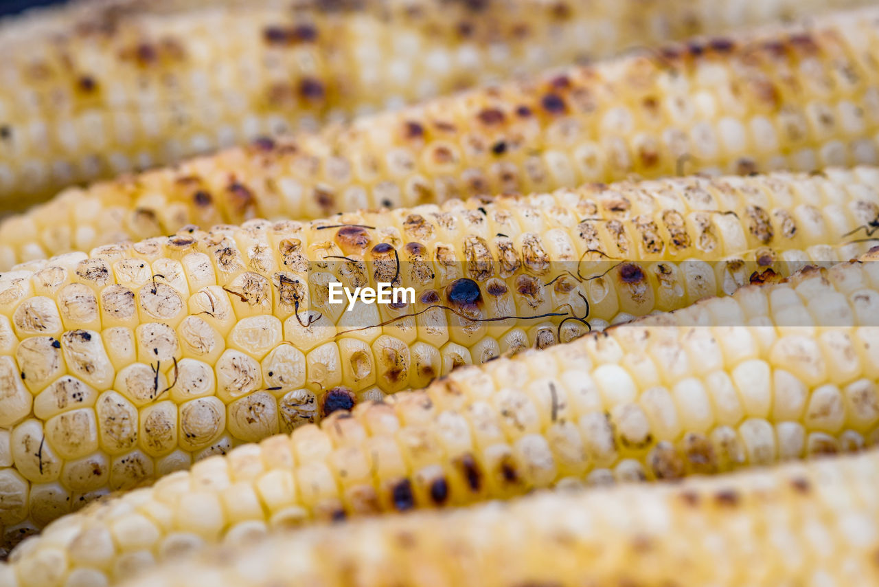 Close-up of sweet corn grilled