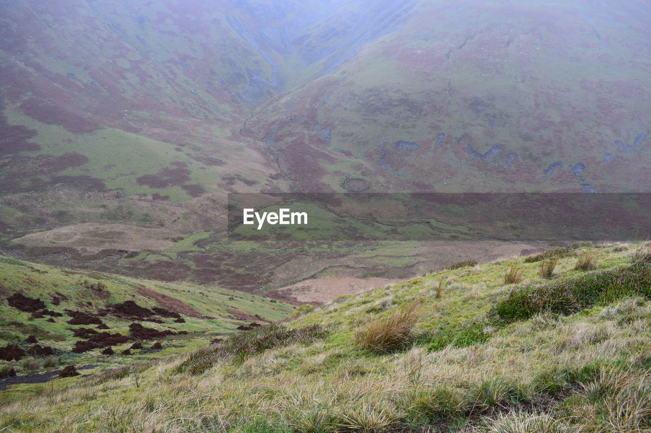 SCENIC VIEW OF LANDSCAPE AGAINST MOUNTAIN