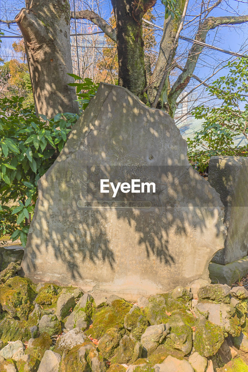 LOW ANGLE VIEW OF STONE WALL