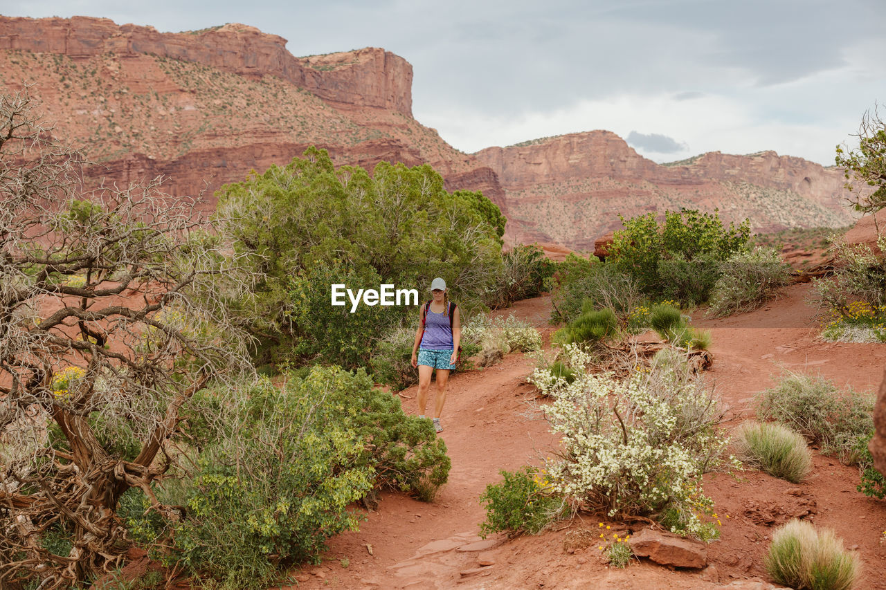 Hiker walks on red dirt path amongst desert plants near moab utah