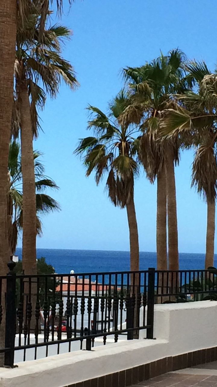 Palm trees at beach against clear sky