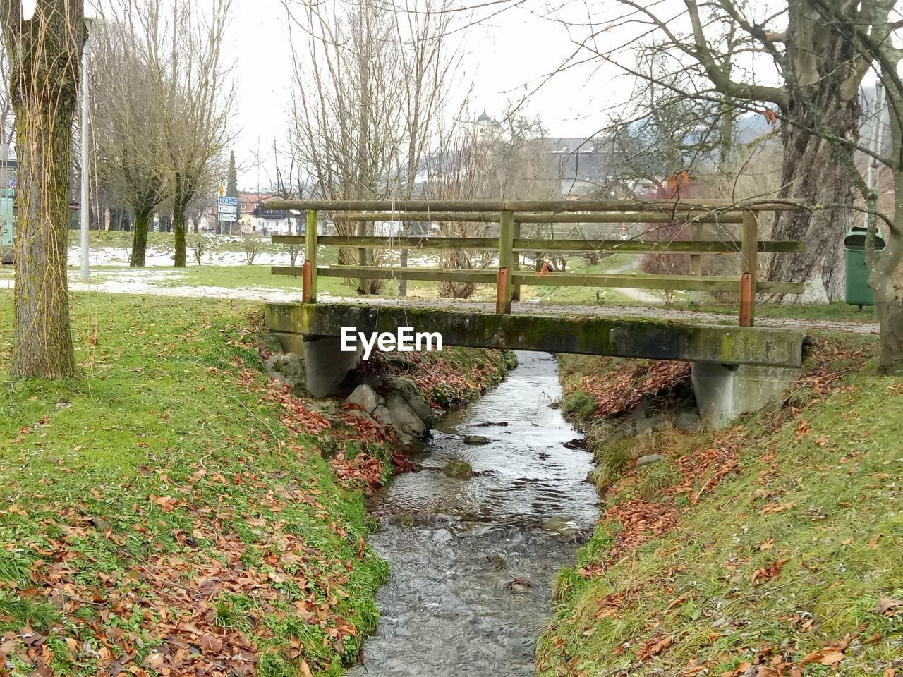 VIEW OF RIVER ALONG BARE TREES