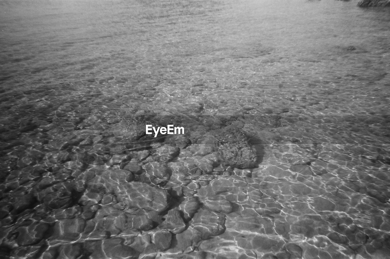 water, high angle view, nature, day, no people, tranquility, black and white, sea, land, monochrome, beauty in nature, monochrome photography, outdoors, full frame, beach, backgrounds, pattern, scenics - nature, rippled, rock, soil, tranquil scene, waterfront, shore, sand, reflection