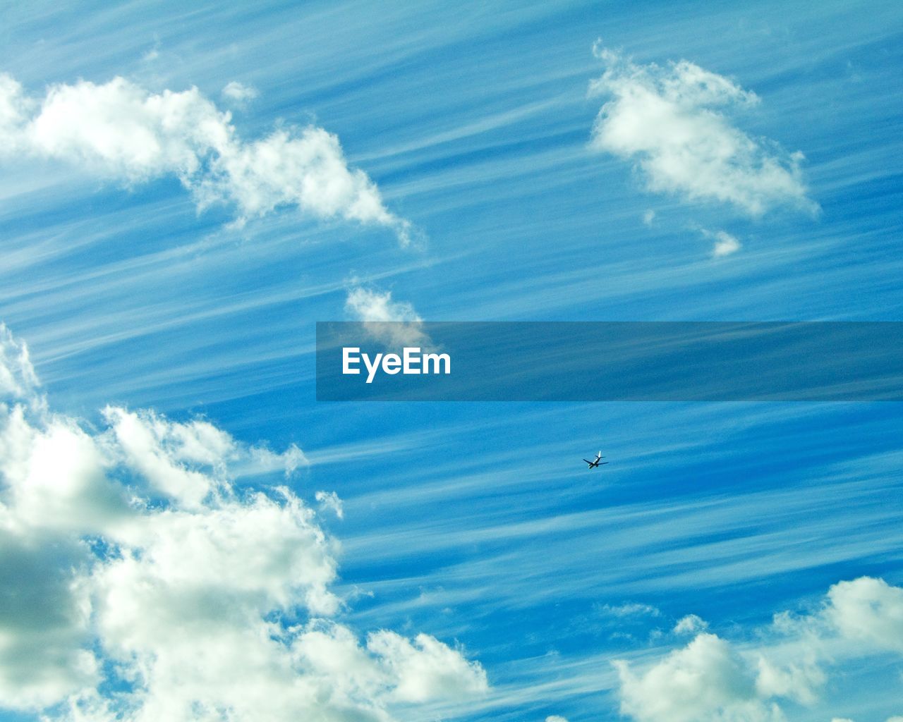 LOW ANGLE VIEW OF BIRD FLYING AGAINST SKY